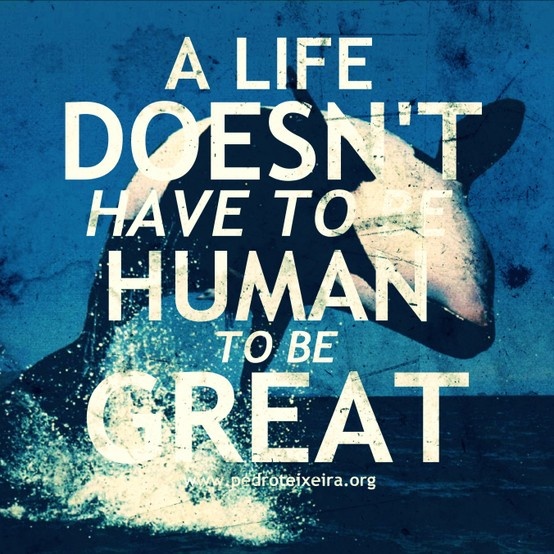 A life doesn't have to be human to be great